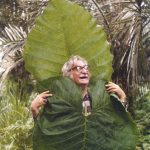 New York Botanical Garden, Roberto Burle Marxe