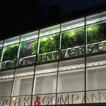 Green Wall, Living Wall, Patrick Blanc, Phyto Universe, Landscape Architecture