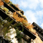 Flowerbox Building, NYC condo, 259 East 7th Street, Verdant Gardens Design, Landscape Architecture