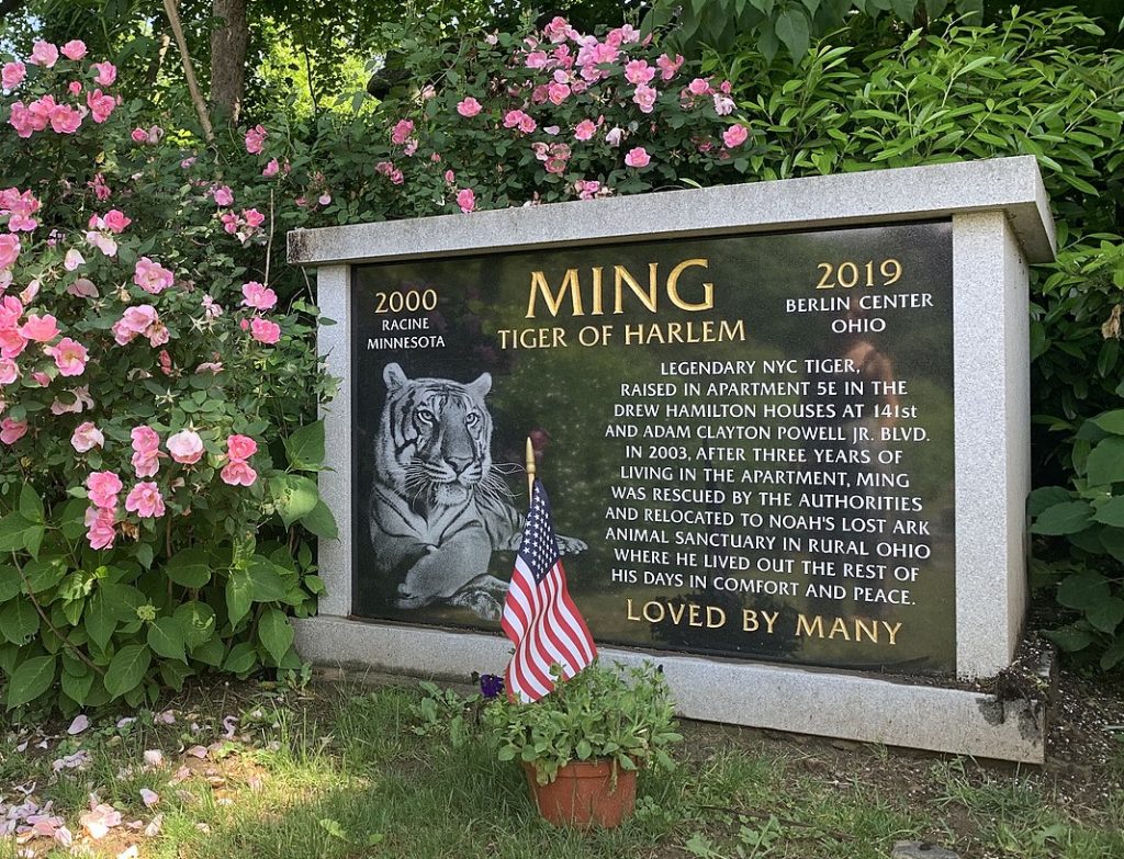 Did you know the world's oldest pet cemetery is in Westchester, New