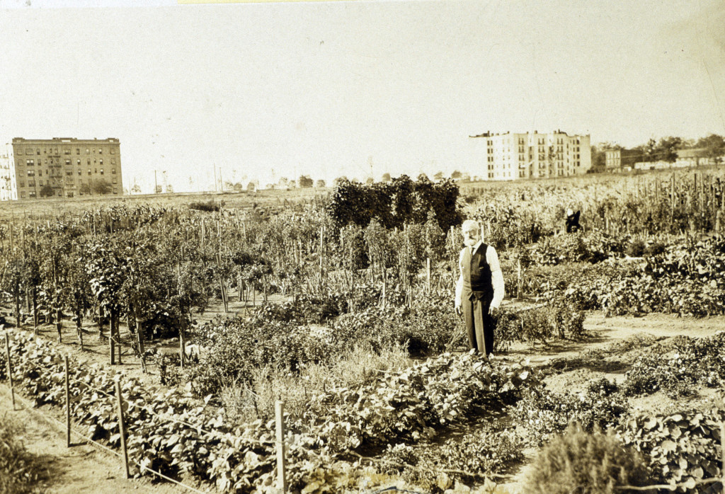Green, Grand, Great Eats A History of Jackson Heights and Its Future