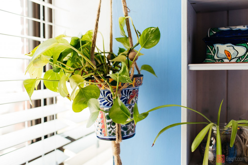 The 10 best plants for bathrooms 6sqft