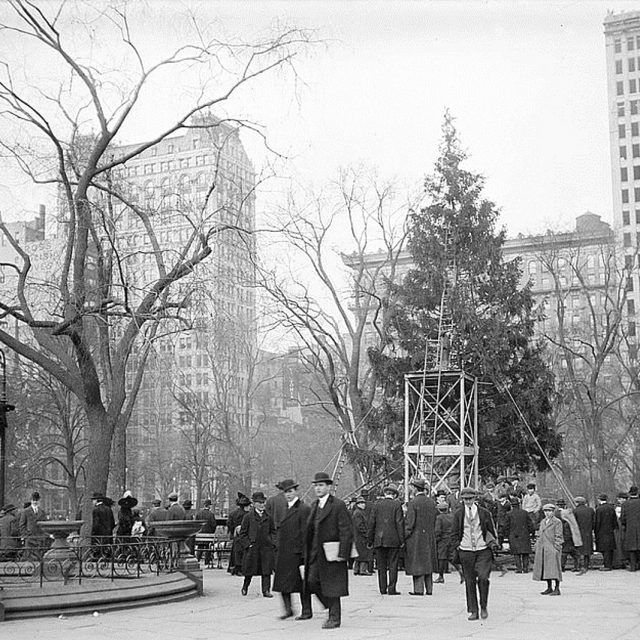 On this day in 1912, the nation's first public Christmas tree went up