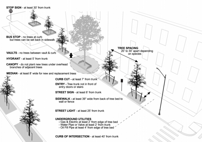 How to get a tree planted on your block for free 6sqft