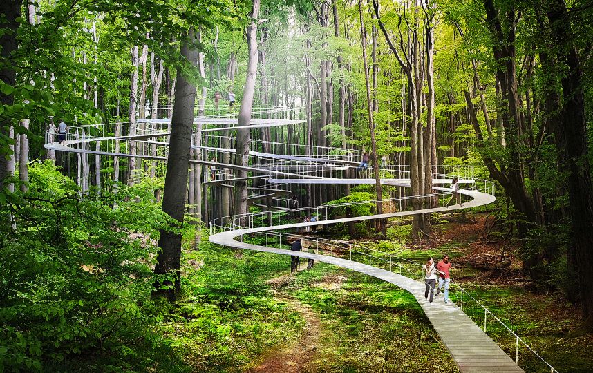 forest design