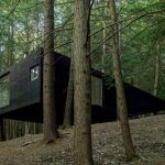 Half-Tree House, barryville, upstate, cabin, tree house, JacobsChang