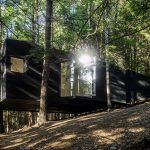 Half-Tree House, barryville, upstate, cabin, tree house, JacobsChang