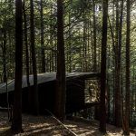 Half-Tree House, barryville, upstate, cabin, tree house, JacobsChang