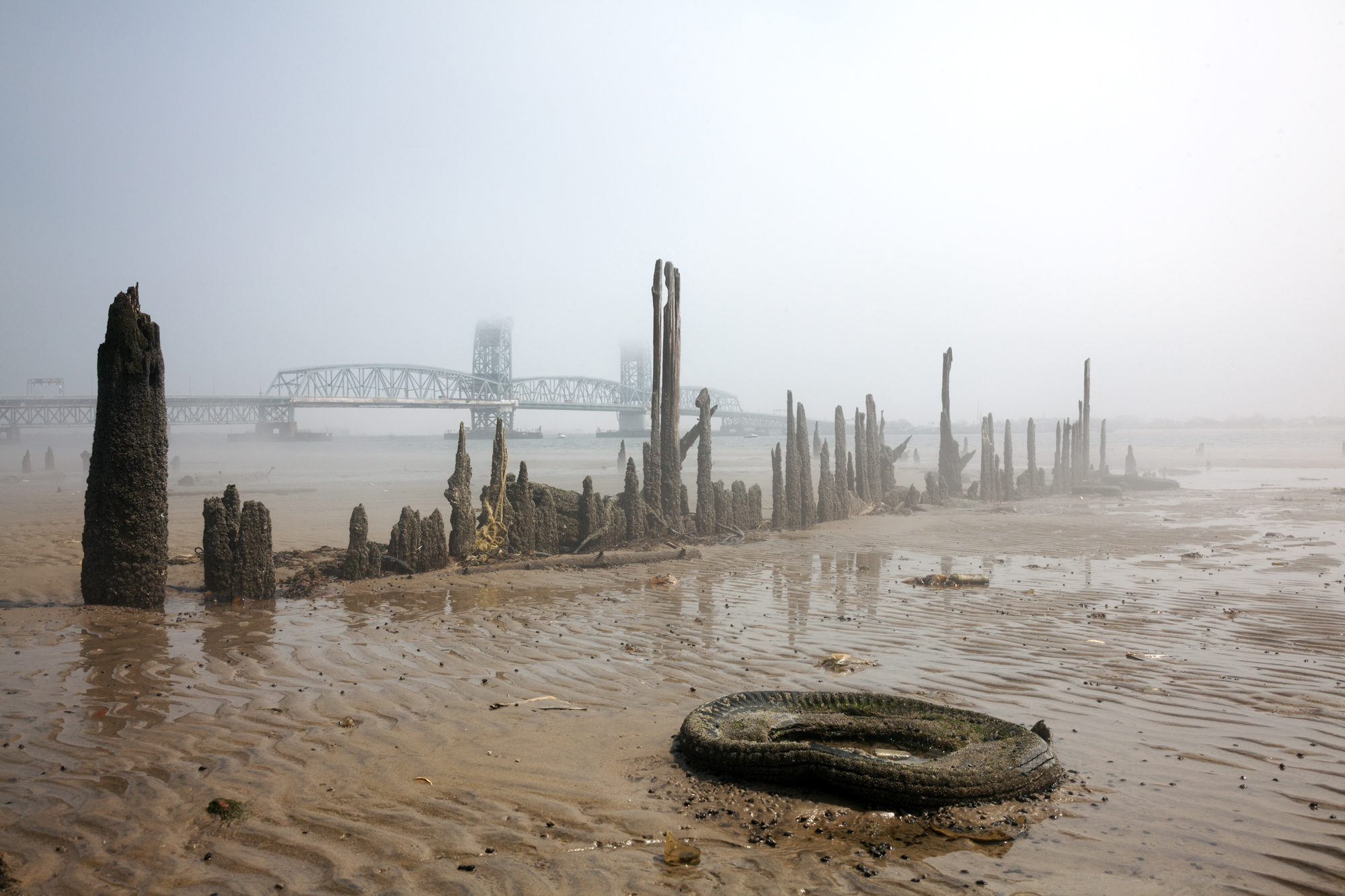 Take a tour of Dead Horse Bay, Brooklyn’s hidden trove of trash and treasures 6sqft