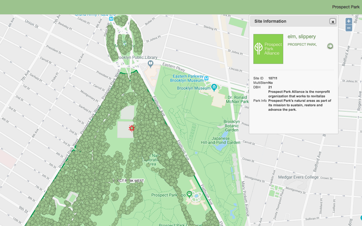 Interactive map lets you explore Prospect Park's 200 tree species 6sqft