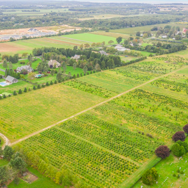 Bring Tomorrow's Weather Indoors With Tempescope 6sqft