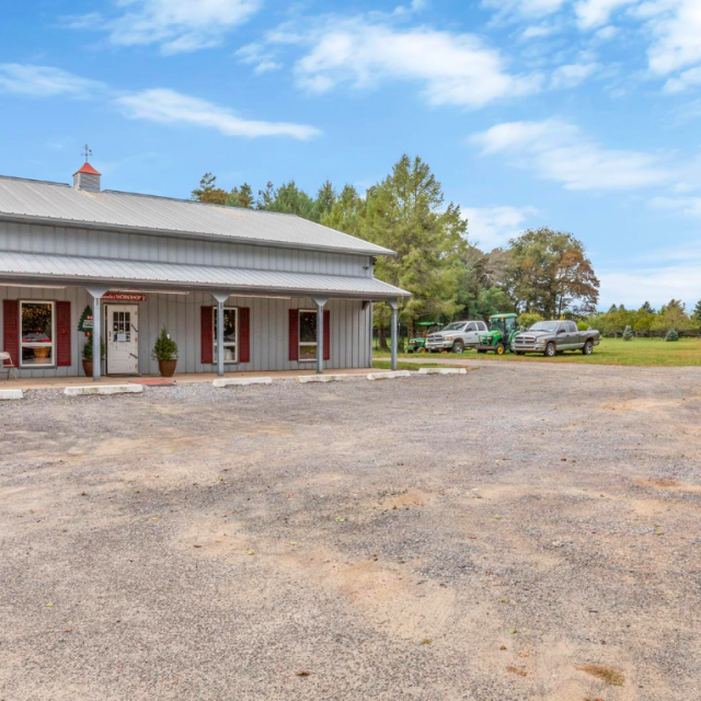 On Long Island, Santa’s Christmas Tree Farm is for sale for 2.5M