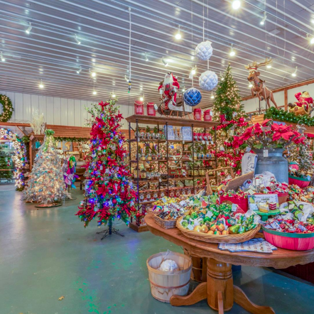 On Long Island, Santa’s Christmas Tree Farm is for sale for 2.5M (lights included) 6sqft