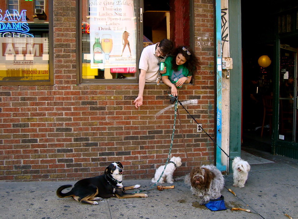 Here's what you need to know about NYC's first dog restaurant week 6sqft