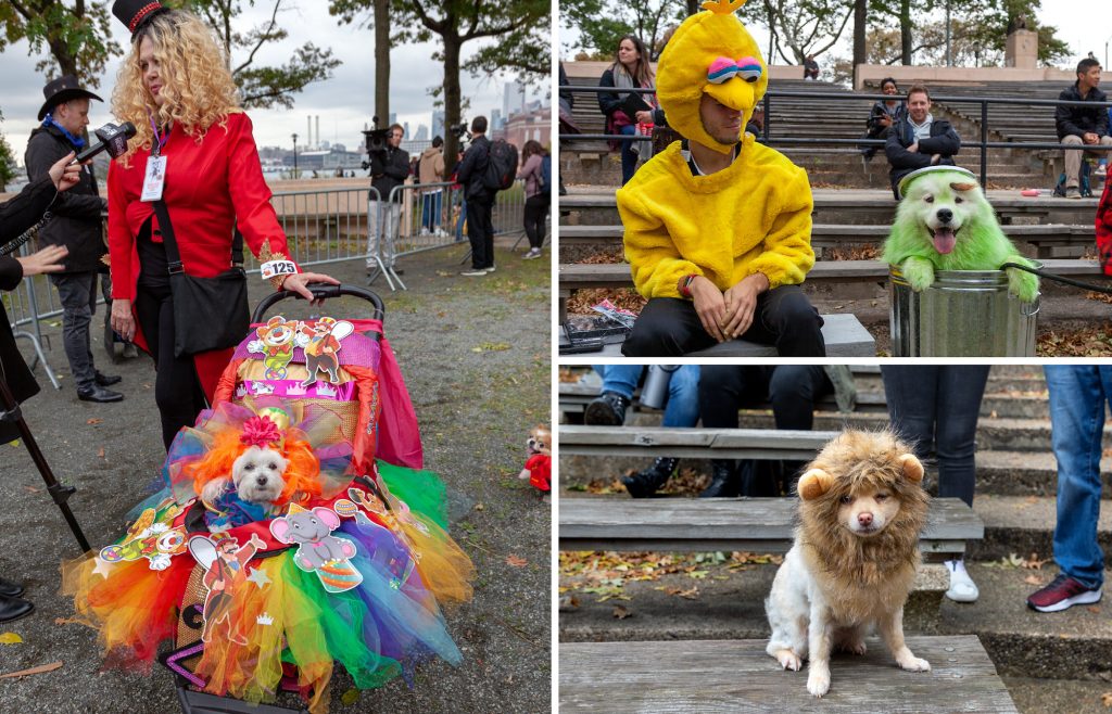 PHOTOS See the best costumes from this year's Tompkins Square