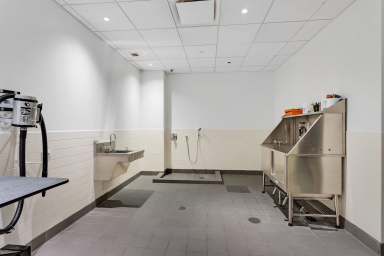 10 NYC residential buildings with the best amenities for dogs 6sqft