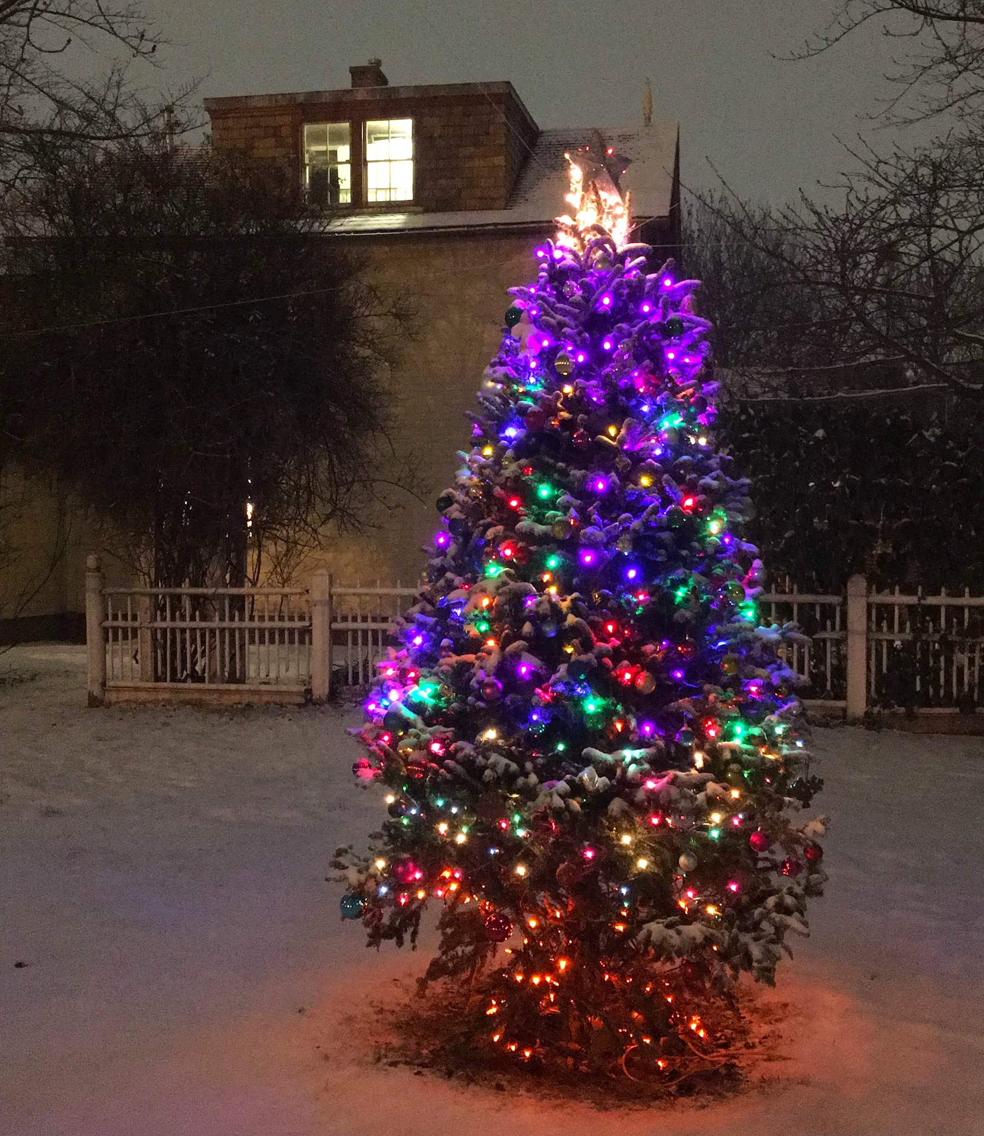 20 Holiday Trees In Nyc That Are Not At Rockefeller Center 6sqft