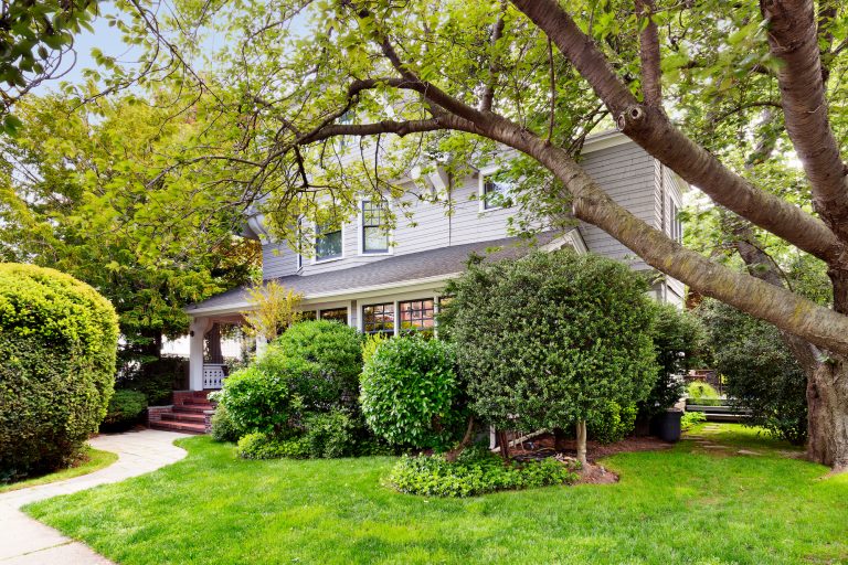 79 Argyle Road 6sqft