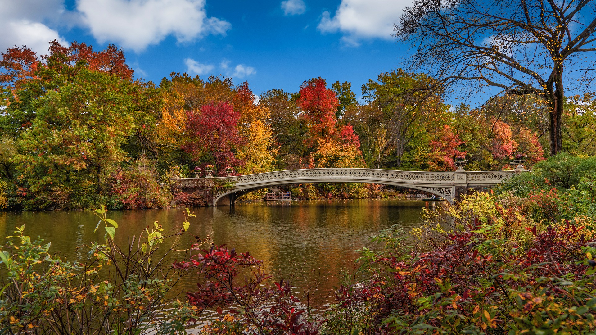 Central Park Foliage Report New York Is Looking For 'Leaf Peepers' To Keep Track Of Fall Foliage | 6Sqft