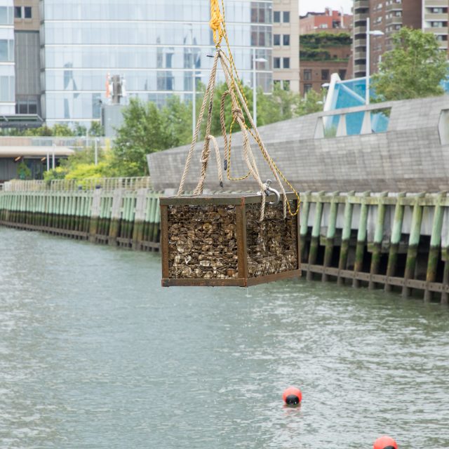 There’s a SpanishStyle Adobe Home in Brooklyn Heights; Heroic Food