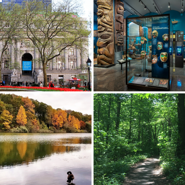 14 ways to celebrate Native American Heritage Month in NYC