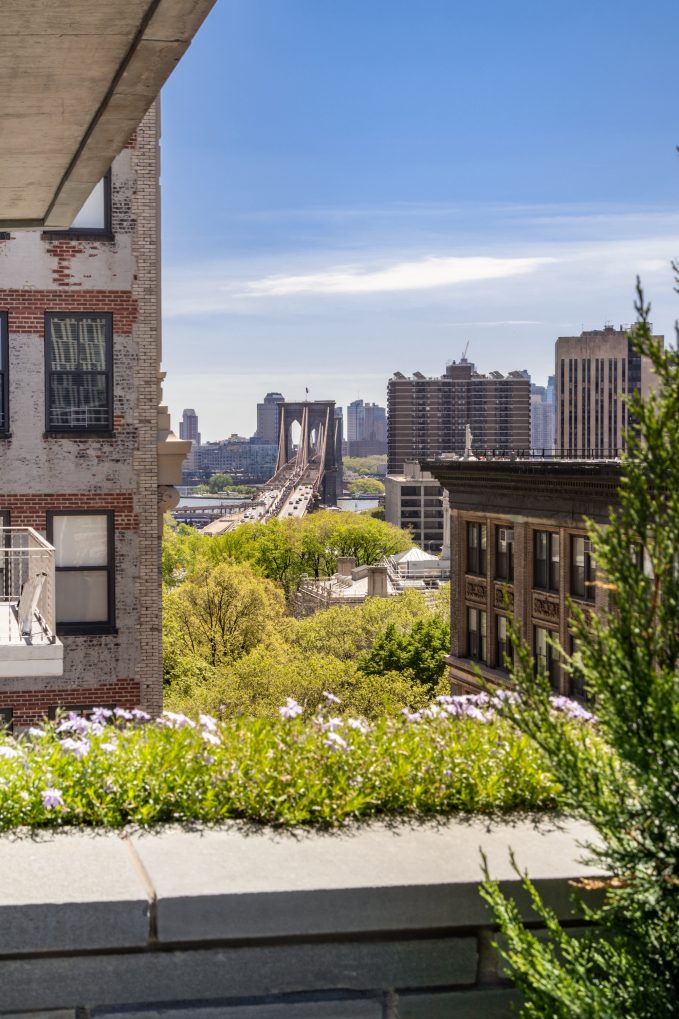 Image showcasing A planted glass atrium leads to huge private roof deck at this $6.25M ...