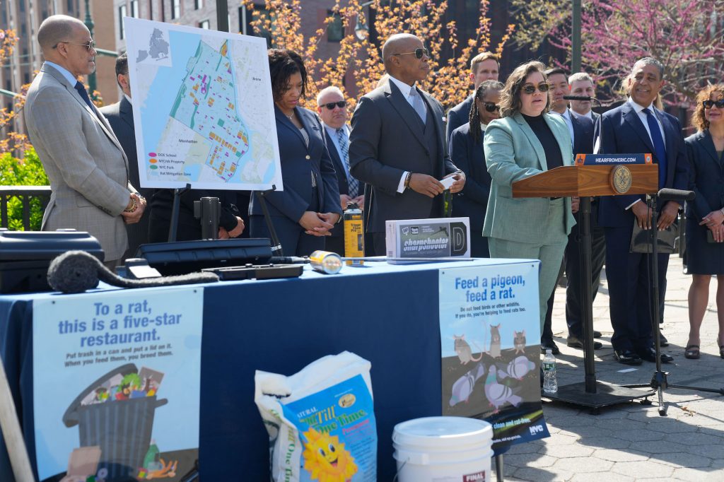 New York City hires its first-ever 'rat czar' | 6sqft