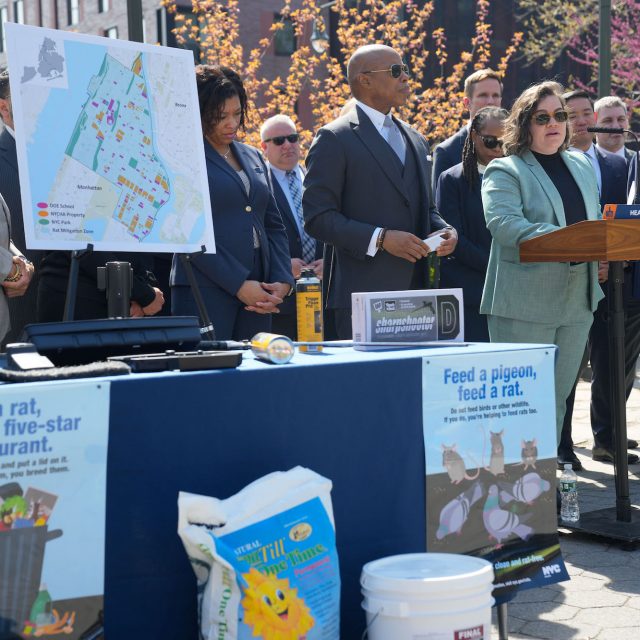 New York City hires its first-ever ‘rat czar’